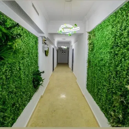Apartment Zig Zag